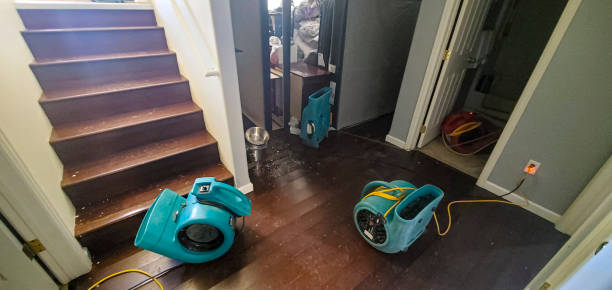 Best Water damage restoration near me  in Princevle, IL