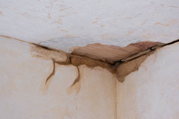 Best Flooded house restoration  in Princevle, IL