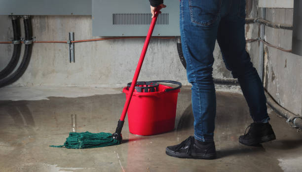 Best Sewage cleanup and water damage restoration  in Princevle, IL