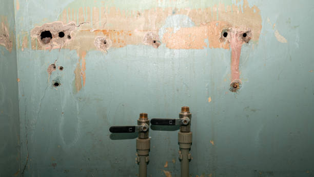 Best Water damage restoration specialists  in Princevle, IL