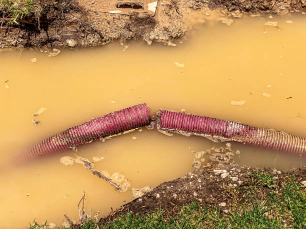 Best Local water damage restoration  in Princevle, IL